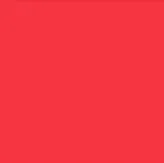 1"  Voucher Numbered Tyvek Wristbands