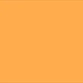 1"  Voucher Numbered Tyvek Wristbands