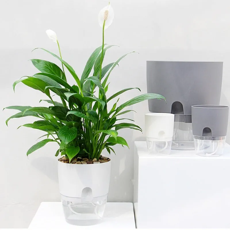 2 Layer Self Watering Plant Pot