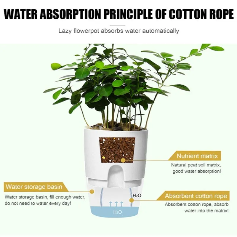 2 Layer Self Watering Plant Pot