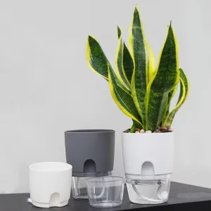 2 Layer Self Watering Plant Pot