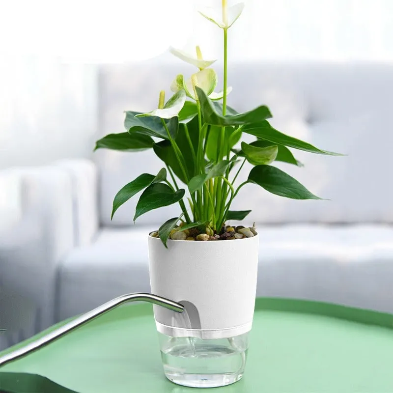 2 Layer Self Watering Plant Pot
