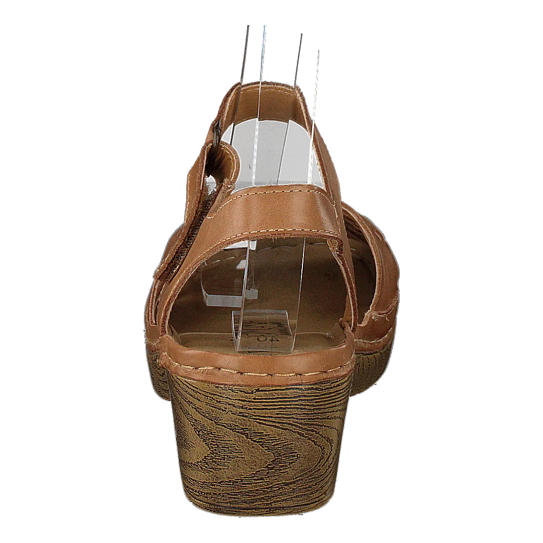 444-1031 Cognac