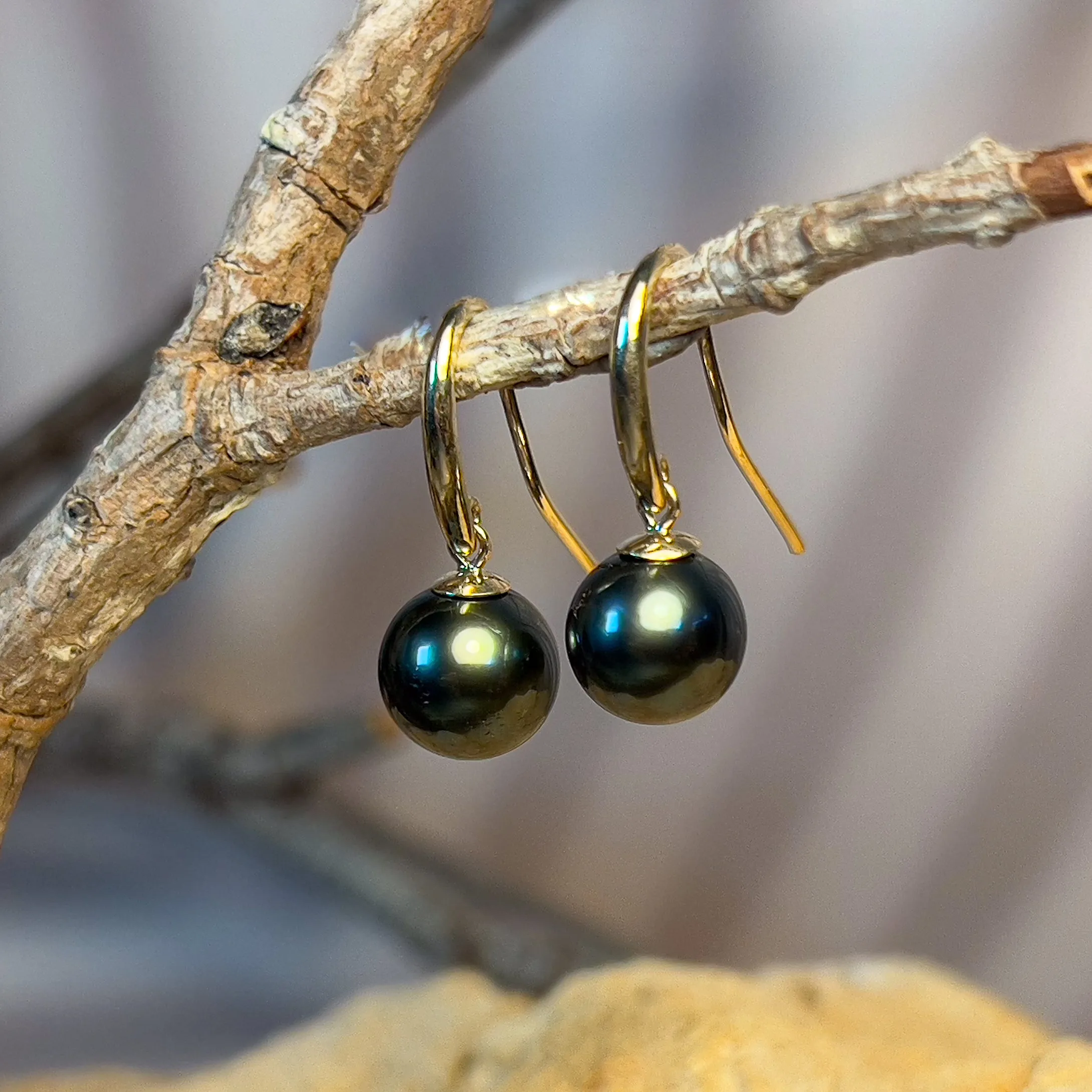9kt Yellow gold dangling Tahitian Black Pearls 8.5-9mm earrings