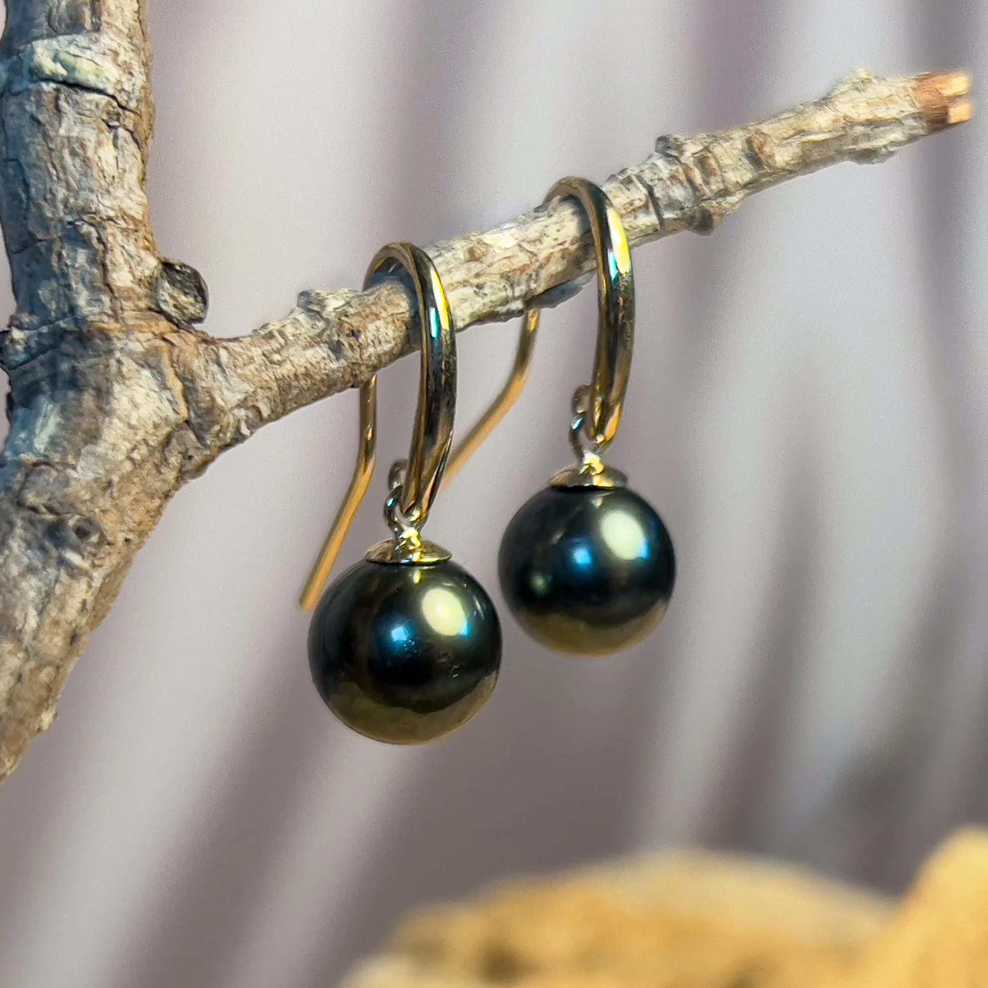 9kt Yellow gold dangling Tahitian Black Pearls 8.5-9mm earrings