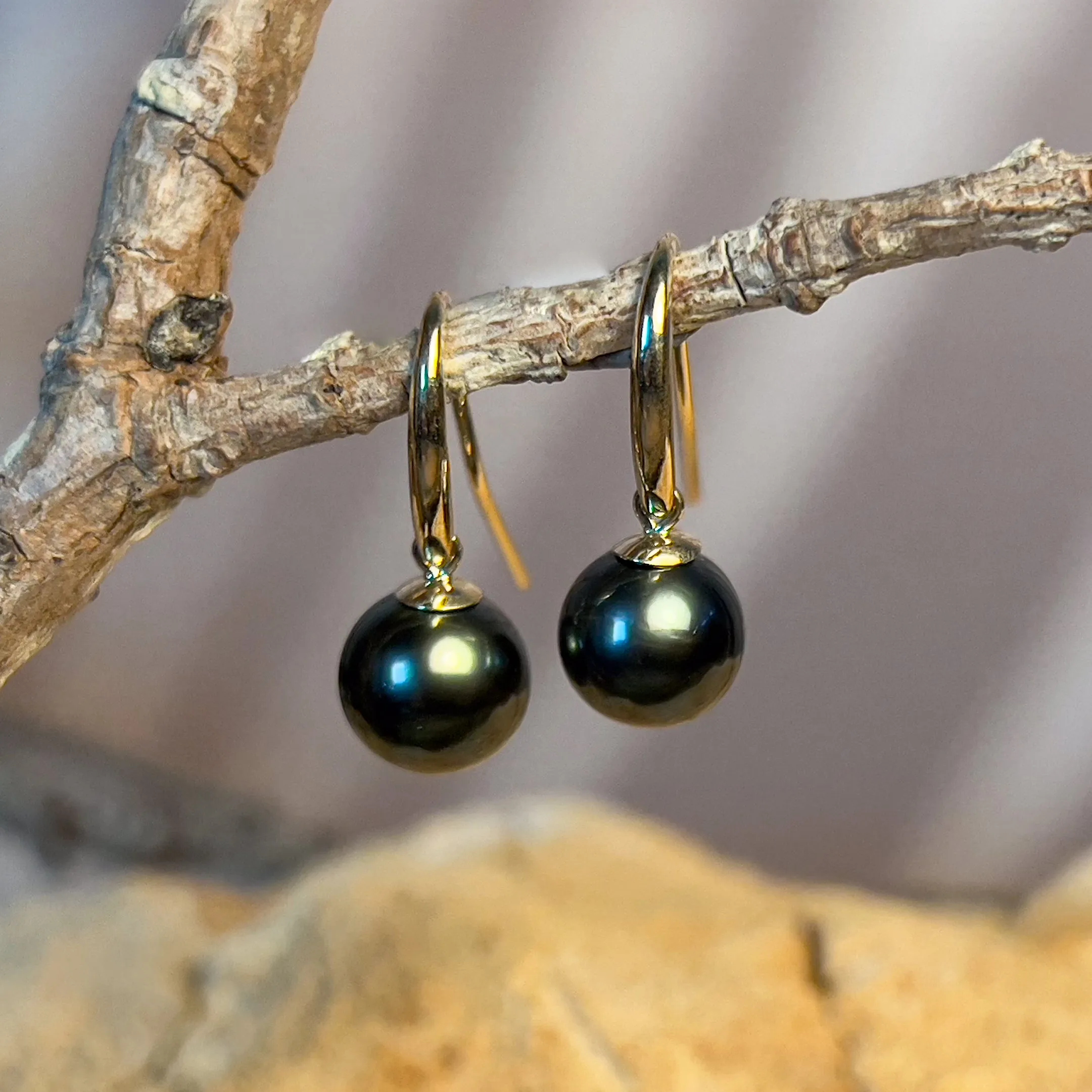 9kt Yellow gold dangling Tahitian Black Pearls 8.5-9mm earrings