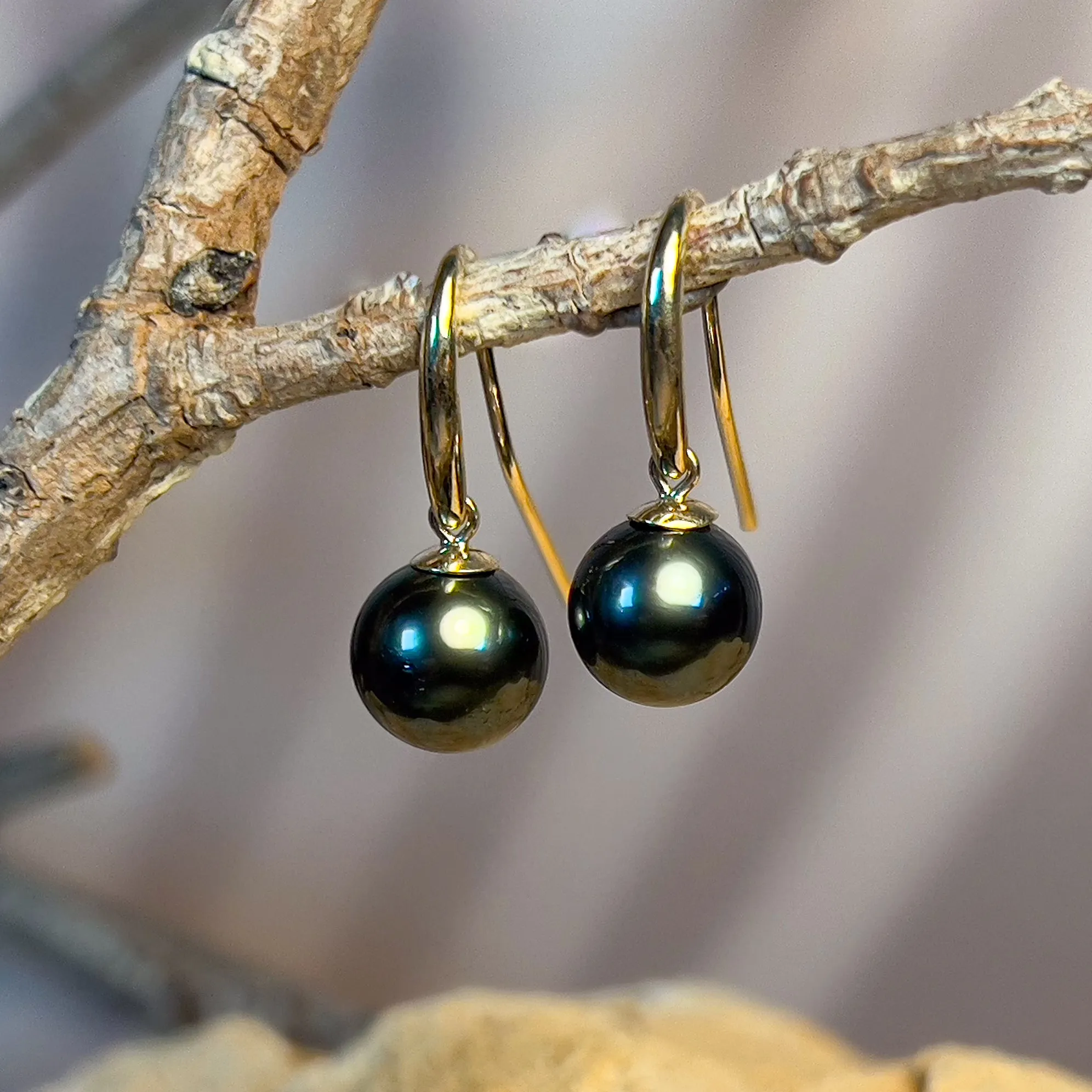 9kt Yellow gold dangling Tahitian Black Pearls 8.5-9mm earrings