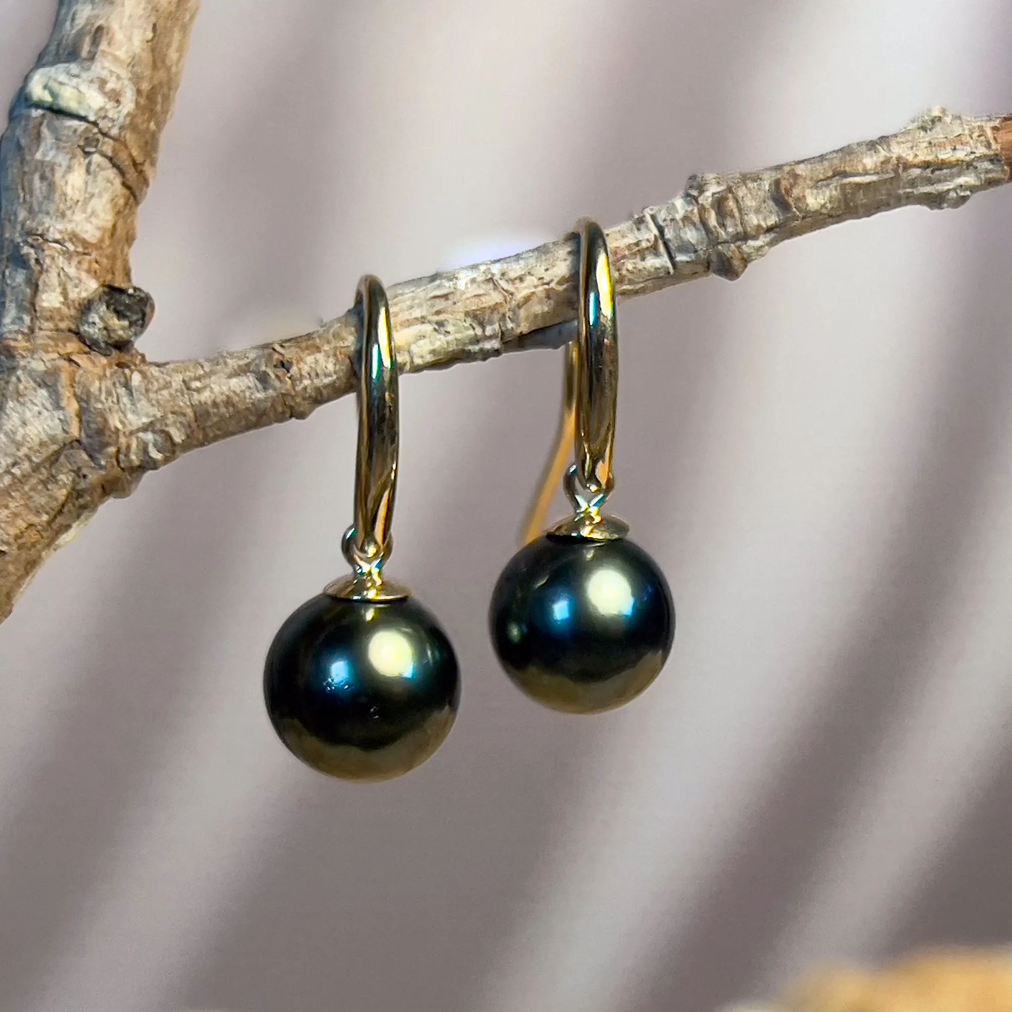 9kt Yellow gold dangling Tahitian Black Pearls 8.5-9mm earrings