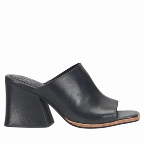 Soft Touch Interior High Impact Cushioning Carri in Black
