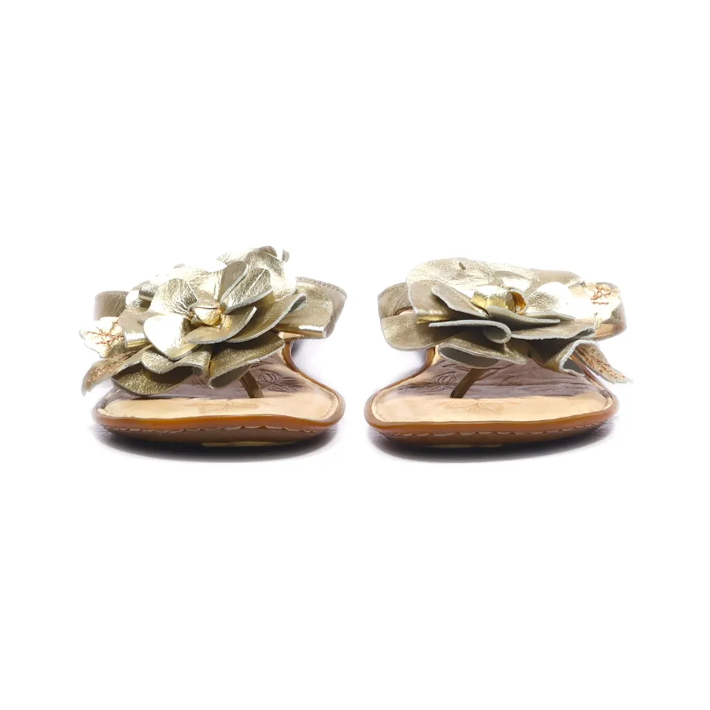 Born Flip Flops Leather Gold Colour For Women