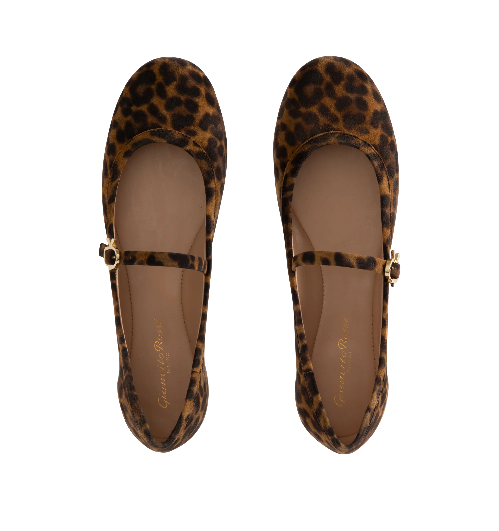 CARLA BALLERINA LEOPARD PRINT (WOMENS)