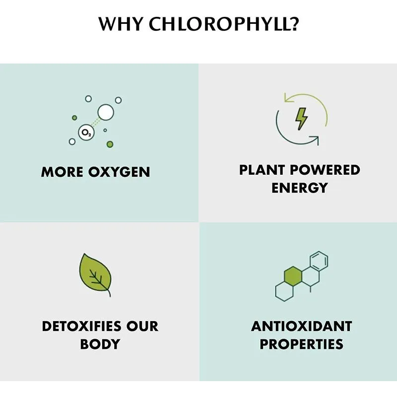 Chlorophyll Water® - Nature Enhanced Purified Water, 20oz