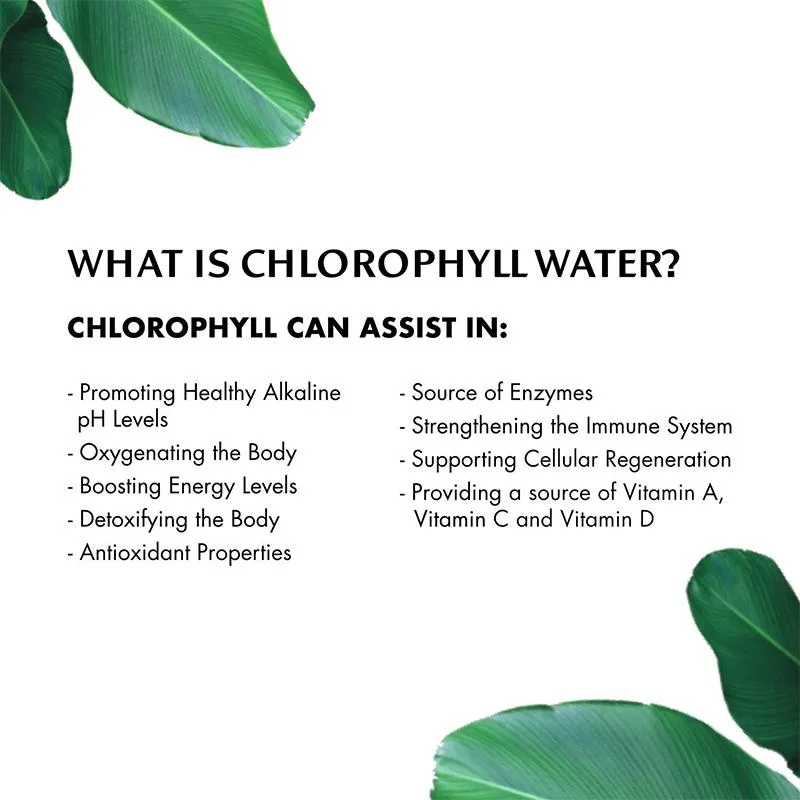 Chlorophyll Water® - Nature Enhanced Purified Water, 20oz