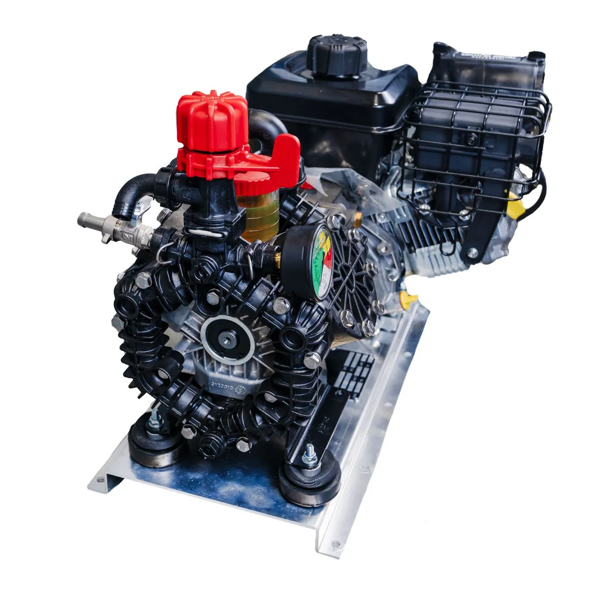 CleanFreak® Softwash System (300 PSI @ 11.5 GPM) w/ AR45 Pump & Electric Start 6.5 HP Vanguard Engine