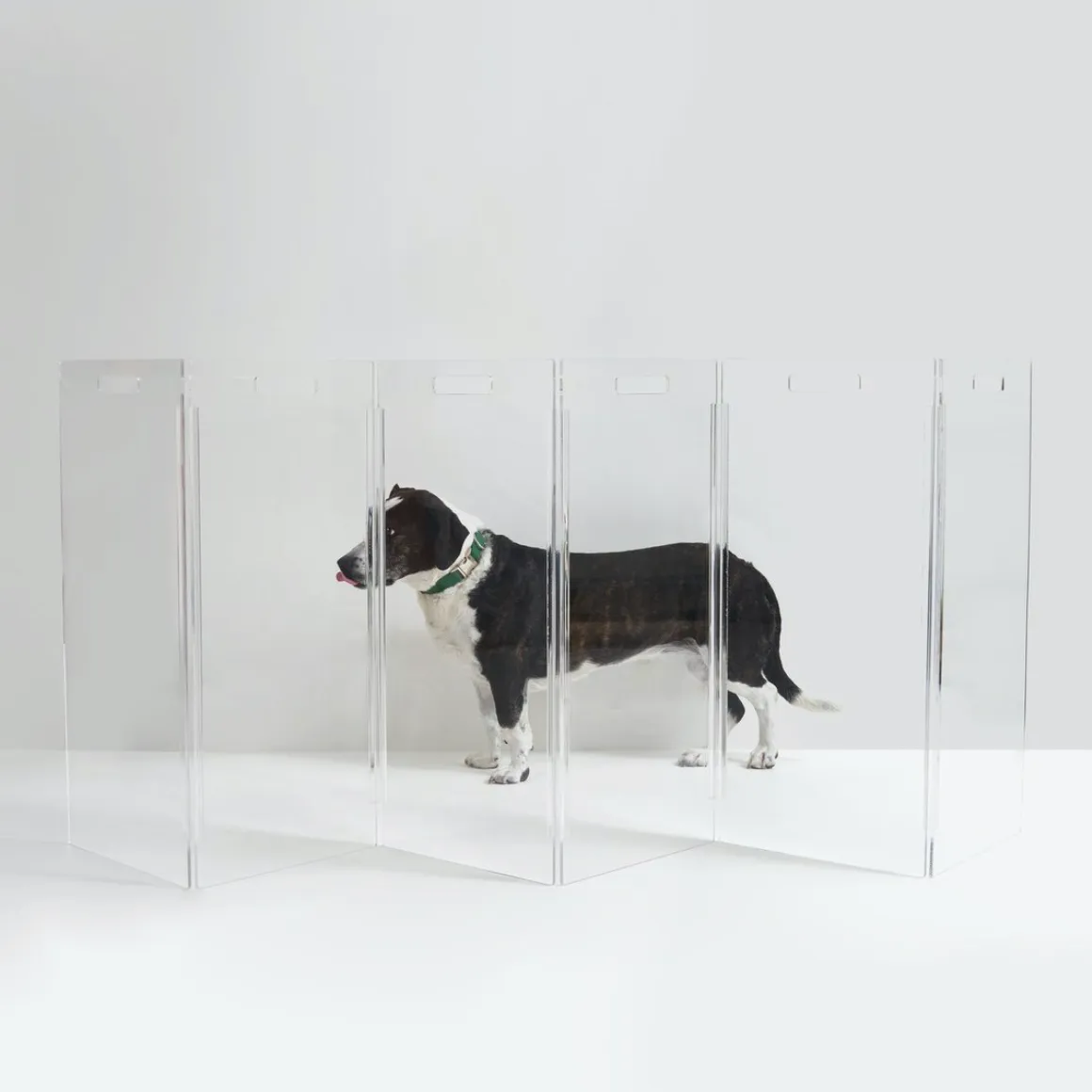 Clear Lucite Freestanding Zig-Zag Pet Gate (Made in the USA) (Direct-Ship)