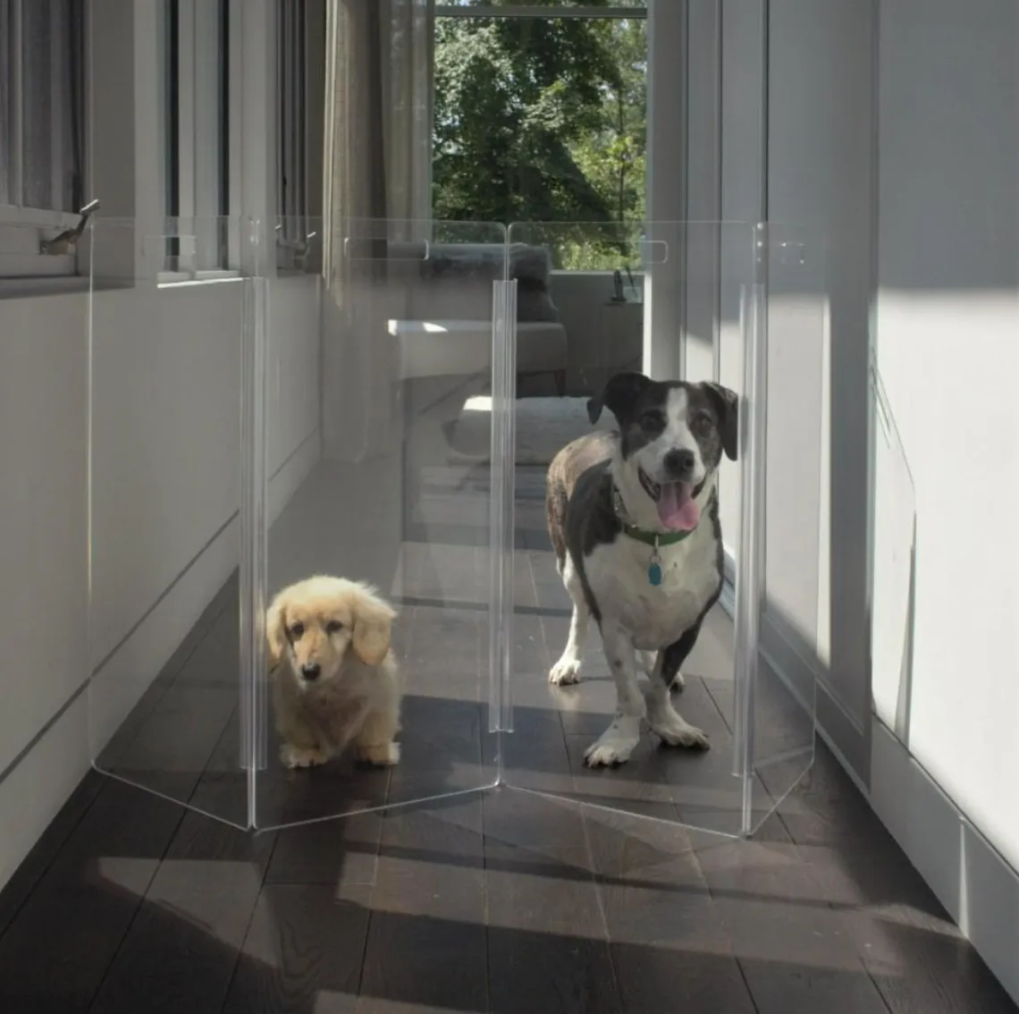 Clear Lucite Freestanding Zig-Zag Pet Gate (Made in the USA) (Direct-Ship)
