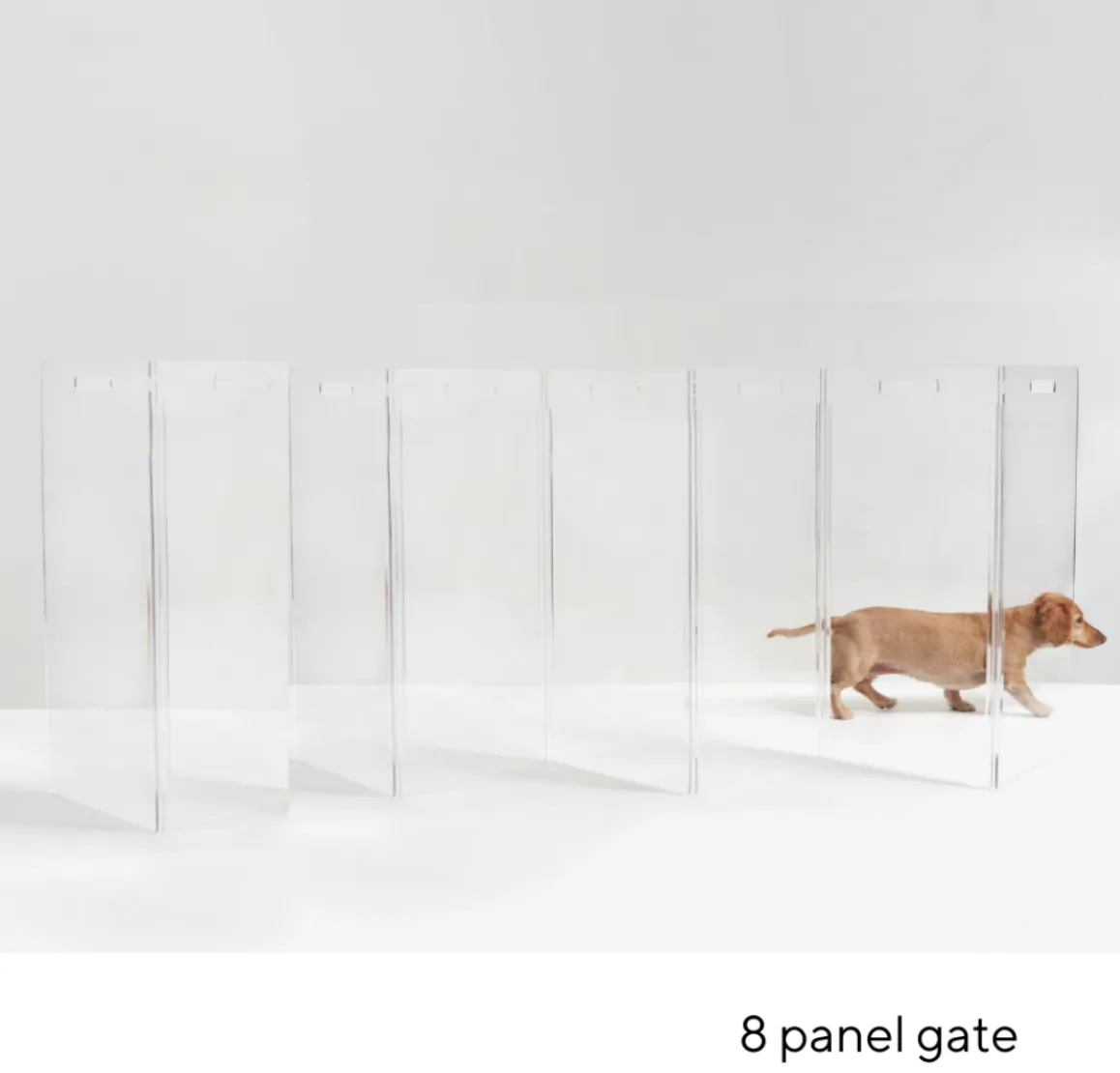 Clear Lucite Freestanding Zig-Zag Pet Gate (Made in the USA) (Direct-Ship)