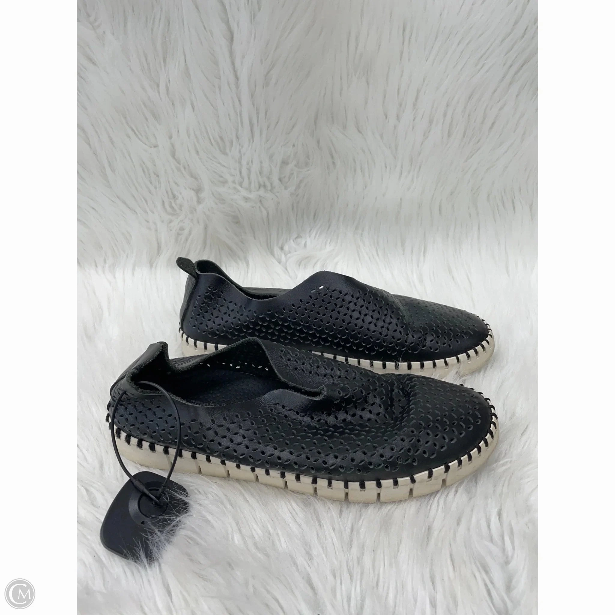 Shoes Sneakers By Jeffery Campbell In Black & Cream, Size: 7.5 Quick design Move Easy