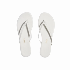 home family vacation Solids in White