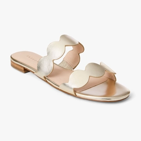 Orange Fun Comfortable Footwear for Every Day Greglen Leather Flat Slide
