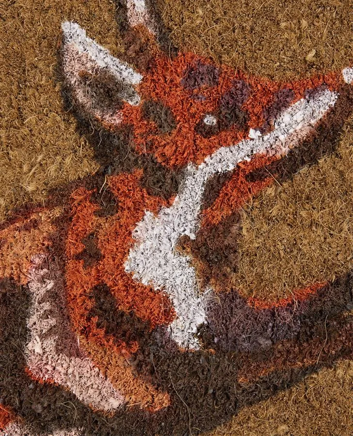 Fox Doormat