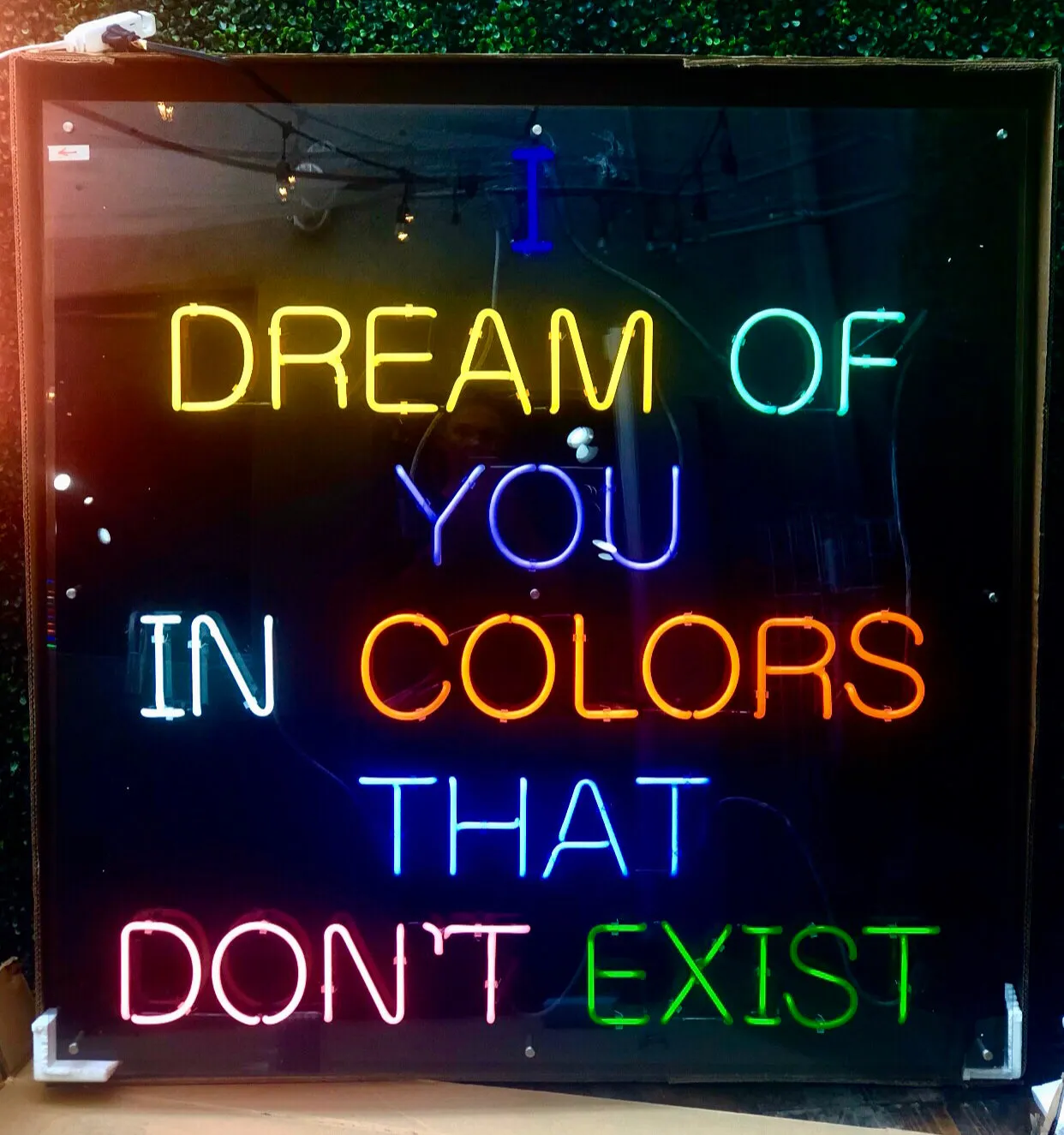 I Dream of You in Colors That Don't Exist