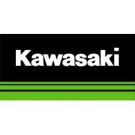 Kawasaki Lever