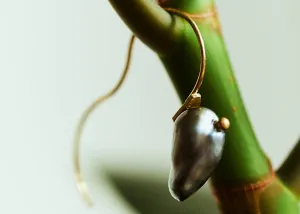 Large Tahitian Keshi pearl Single Earring