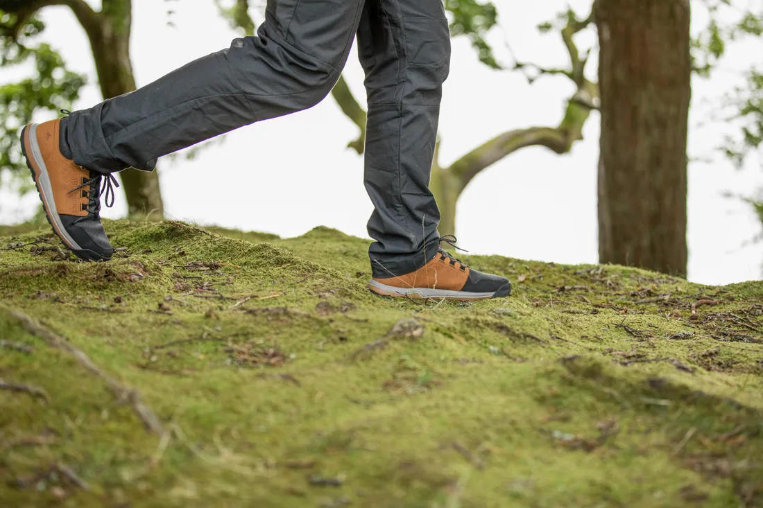 Men's Hiking Shoes  - NH500