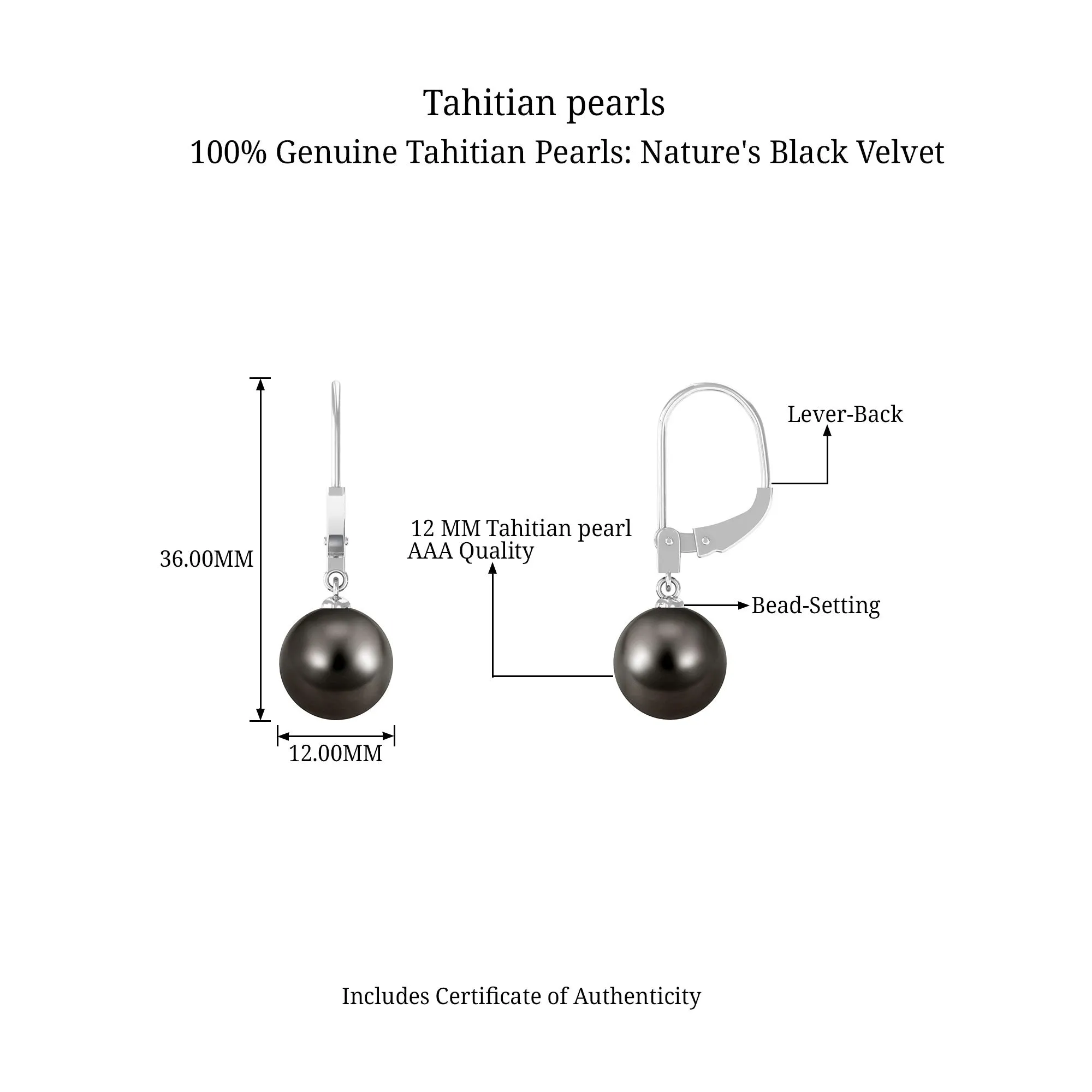 Minimal Black Pearl Solitaire Drop Earrings