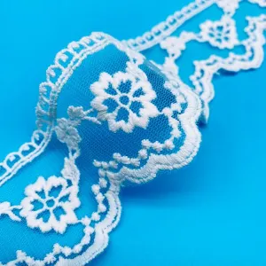 OEKO-TEX BSCI Embroidery lace on mesh base NFA12A156