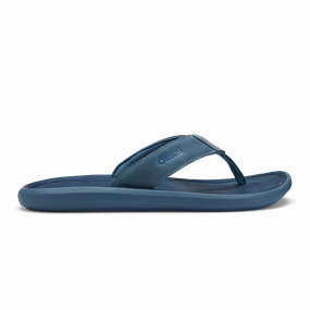 Pili - Blue Fog / Coastal Blue Odor Resistant Linings