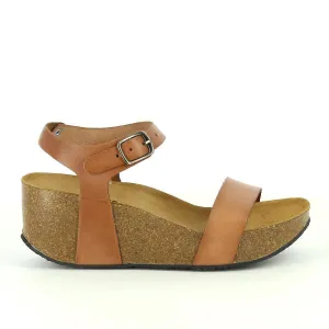 Plakton 273023 Brown Wedges