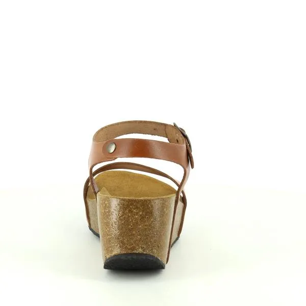 Plakton 273023 Brown Wedges