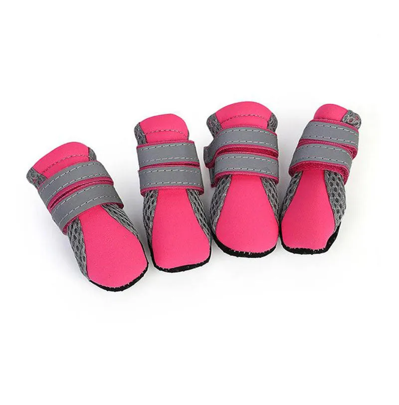 Small dog walking shoes