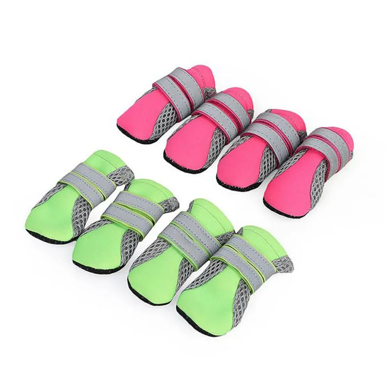 Small dog walking shoes