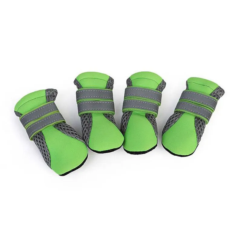 Small dog walking shoes