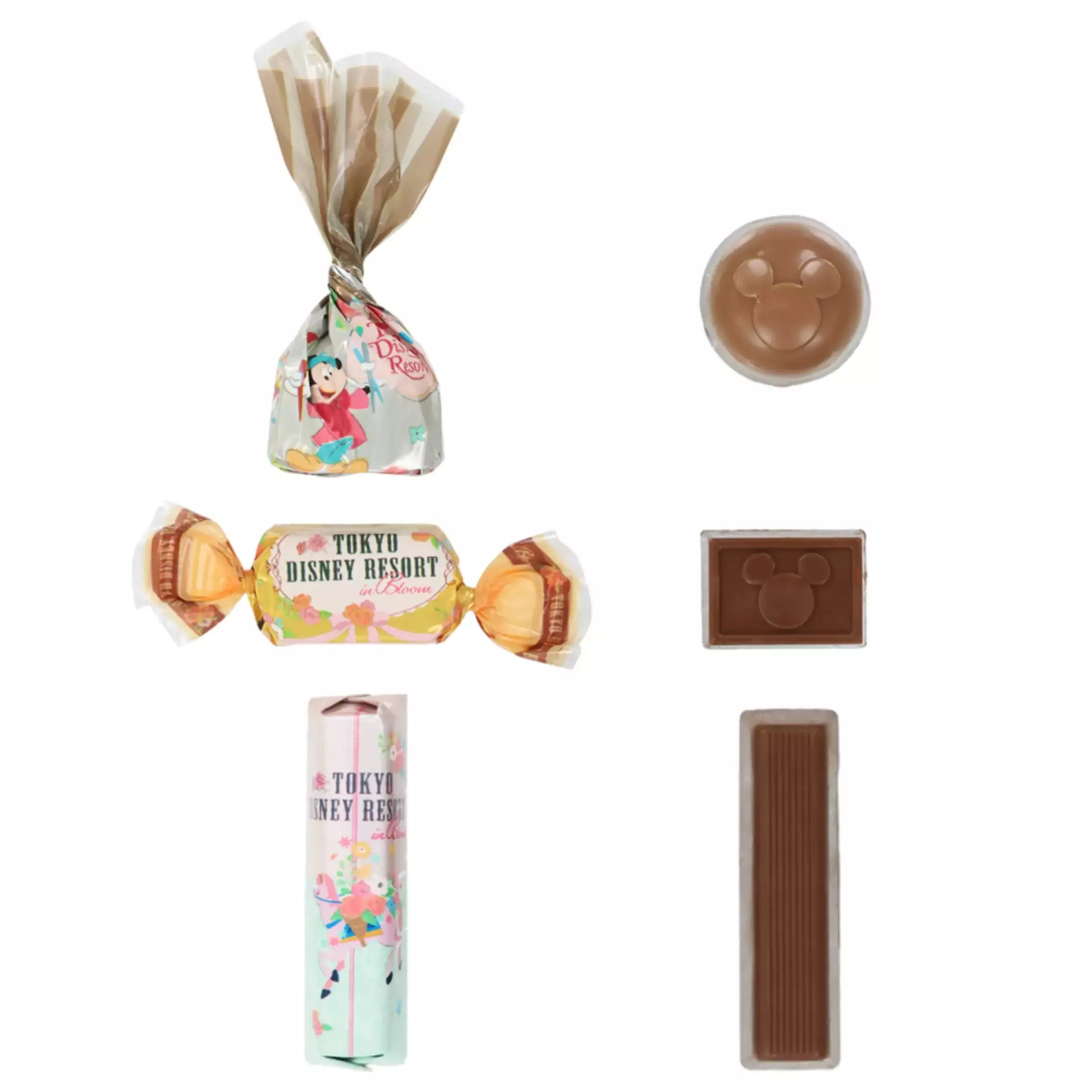 TDR - Tokyo Disney Resort in Bloom x Assorted Chocolate Box Set (Release Date: Jan 23, 2025)