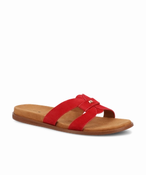 The Sunbird Icon - Red Suede Stay Breezy Tropical Leaf