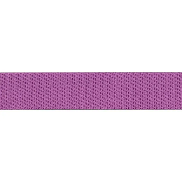 Tula Pink Webbing - 1" wide - Mystic Neon Purple