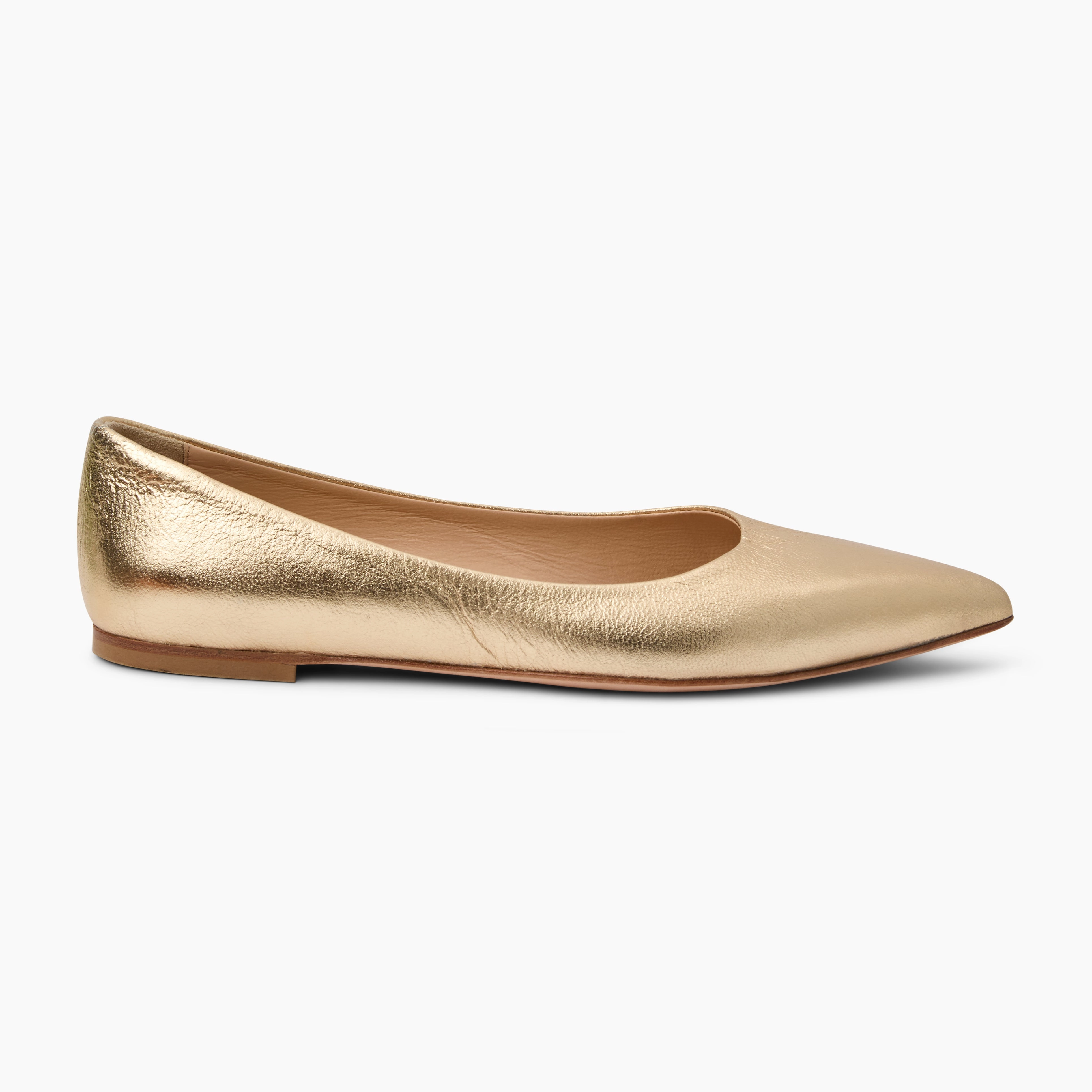 Gabrisa Italian Leather Pointed Toe Flat Wellness Walk Drink Night