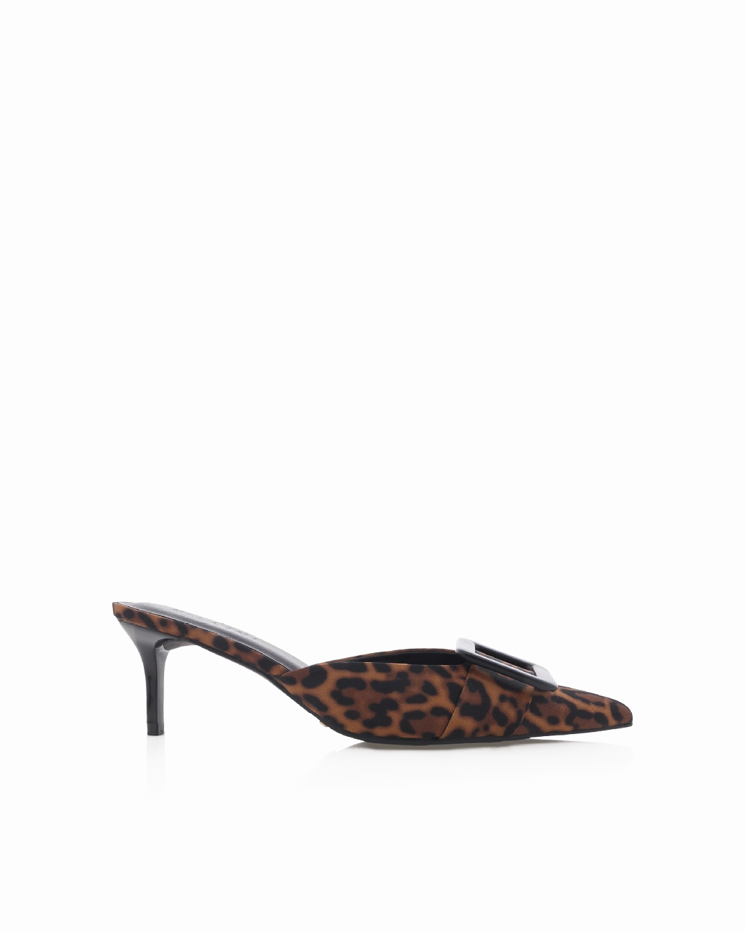 YORKIE - LEOPARD Hill Tough