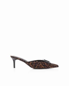 YORKIE - LEOPARD Hill Tough